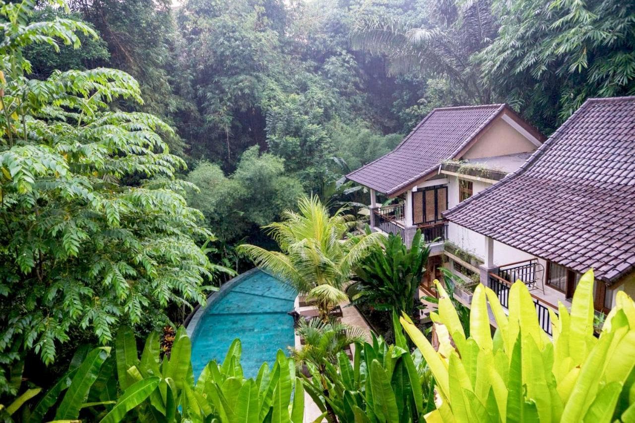 Jungle Haven Resort Central