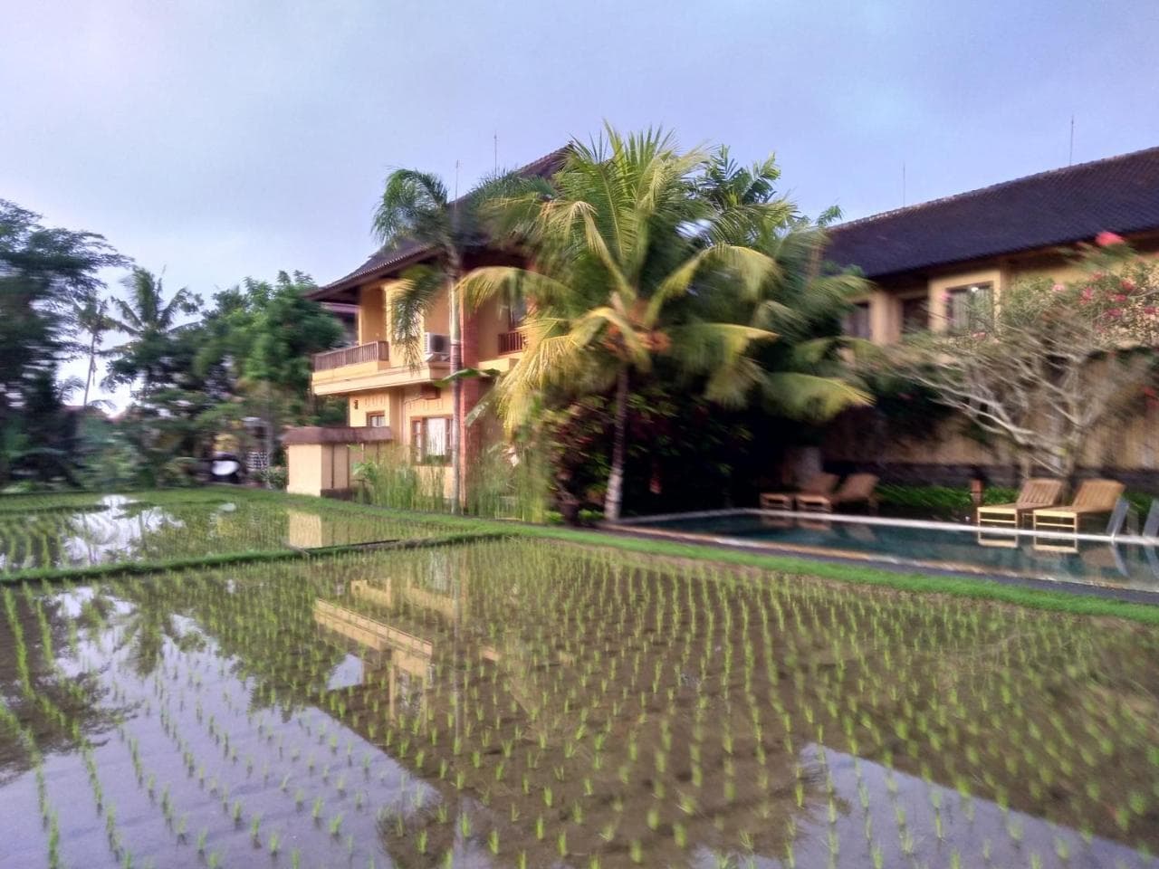 Ubud Lestari Bungalows