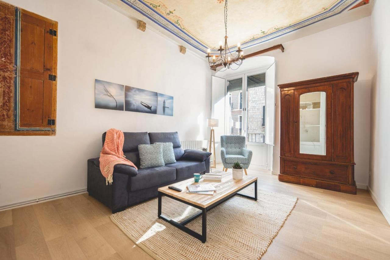 Bravissimo Placa Del Vi, Authentic Historic Apartment