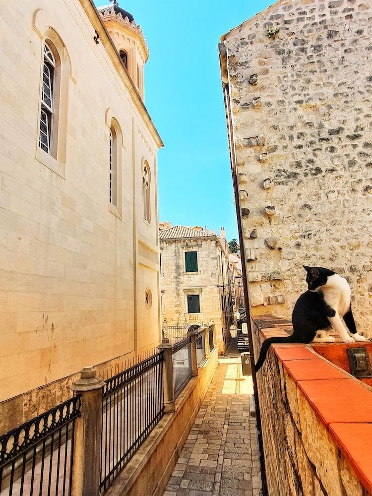 Heart of the City Apartments