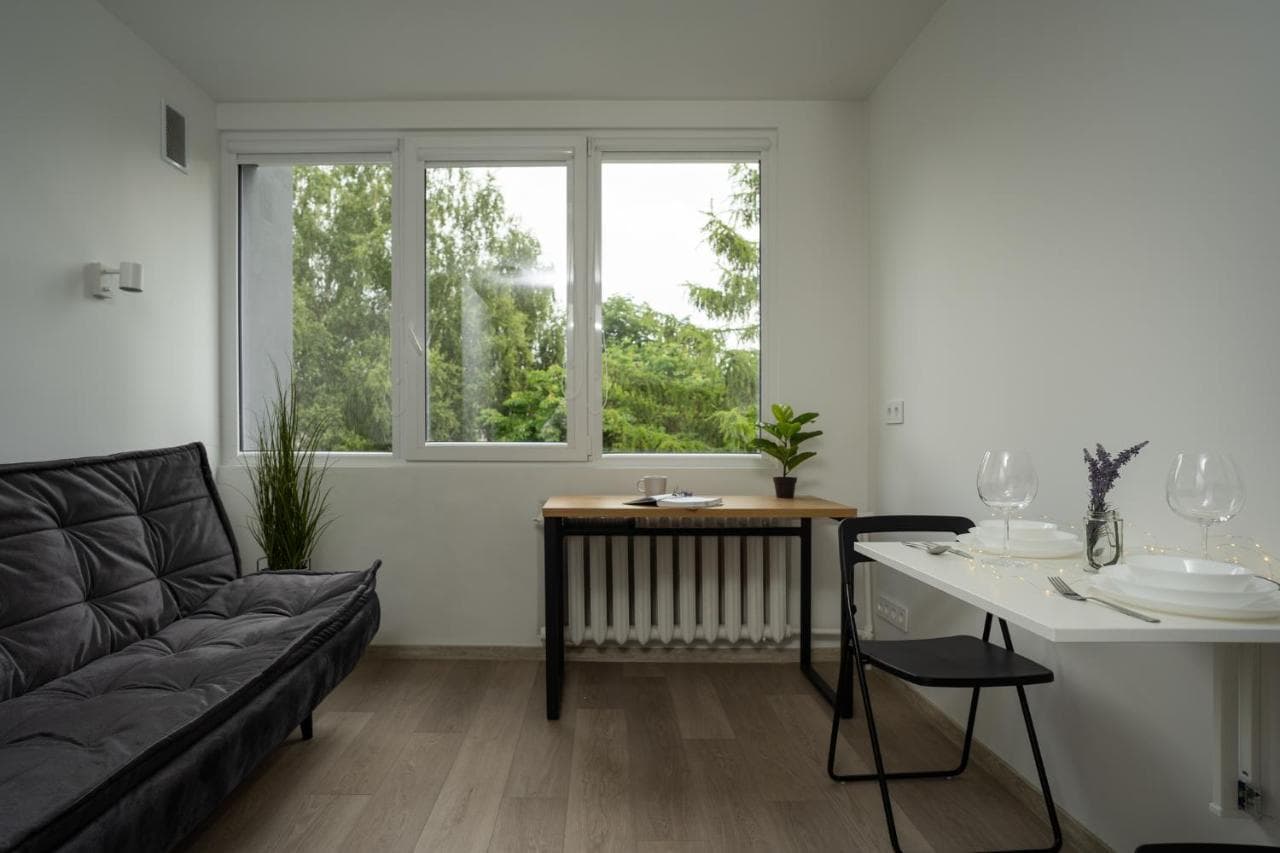 Nordic Studio 140 in Prime Vilnius Location