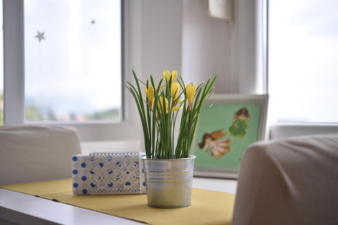 The Dream on Apartment