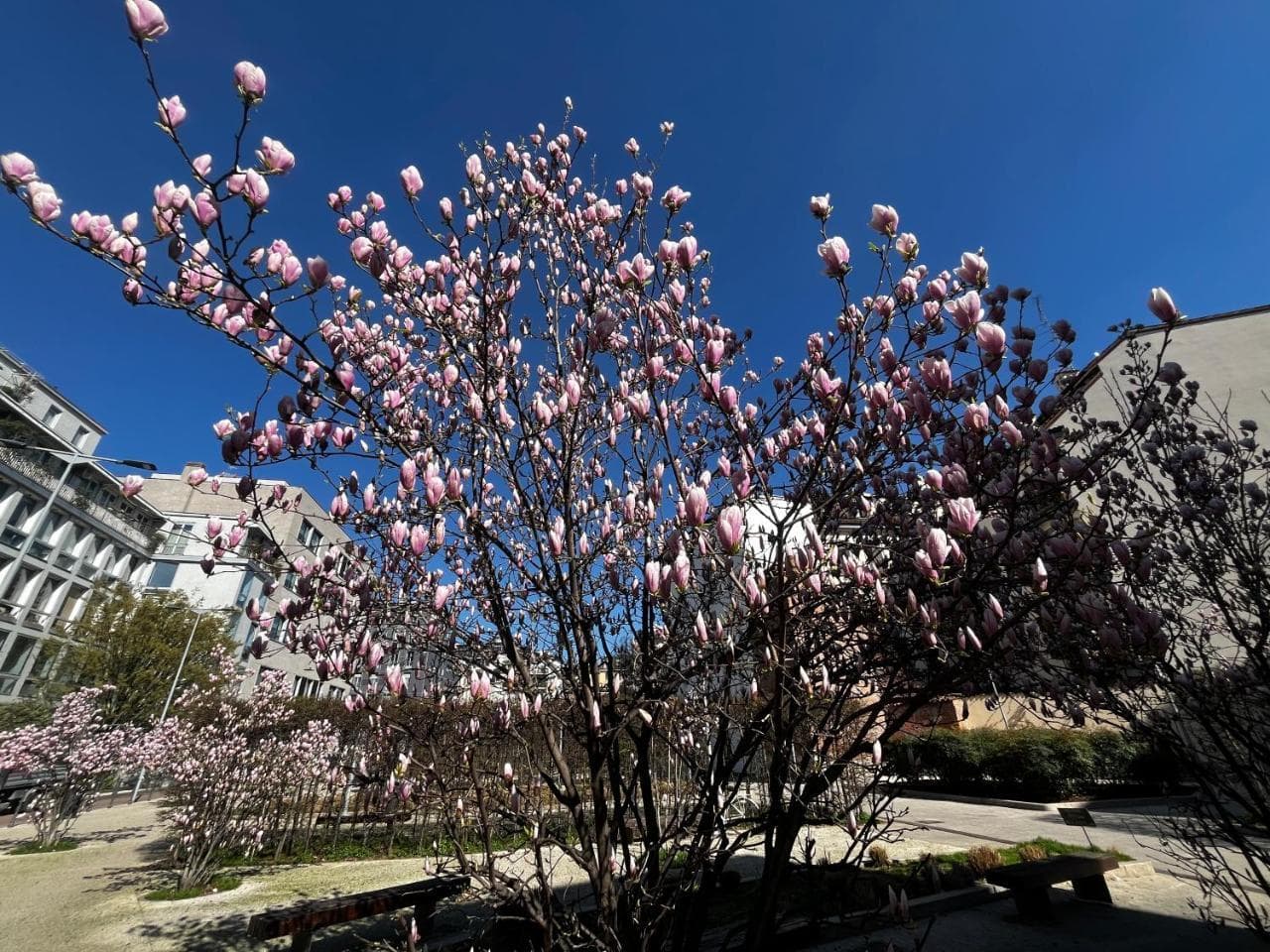 Charme Skyline Brothers Suite