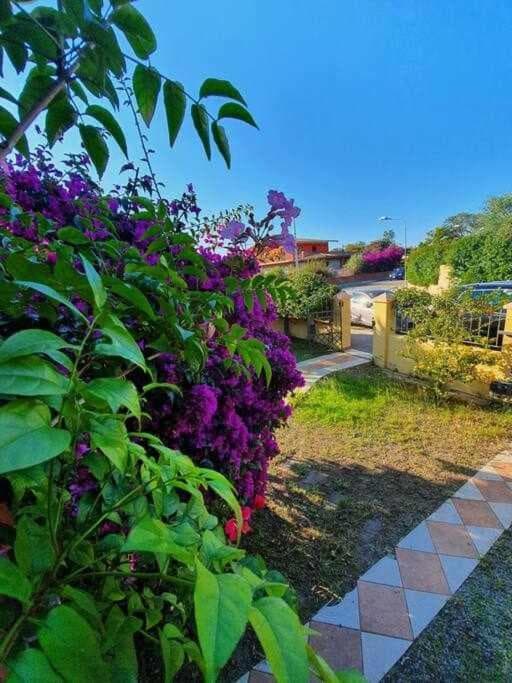 Casa Vacanze L'olivastro