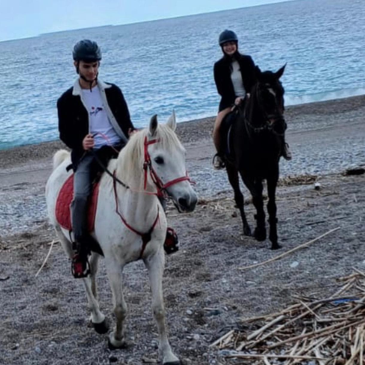Seal of Deer - Castle View - 5 Minute Walk To the Beach