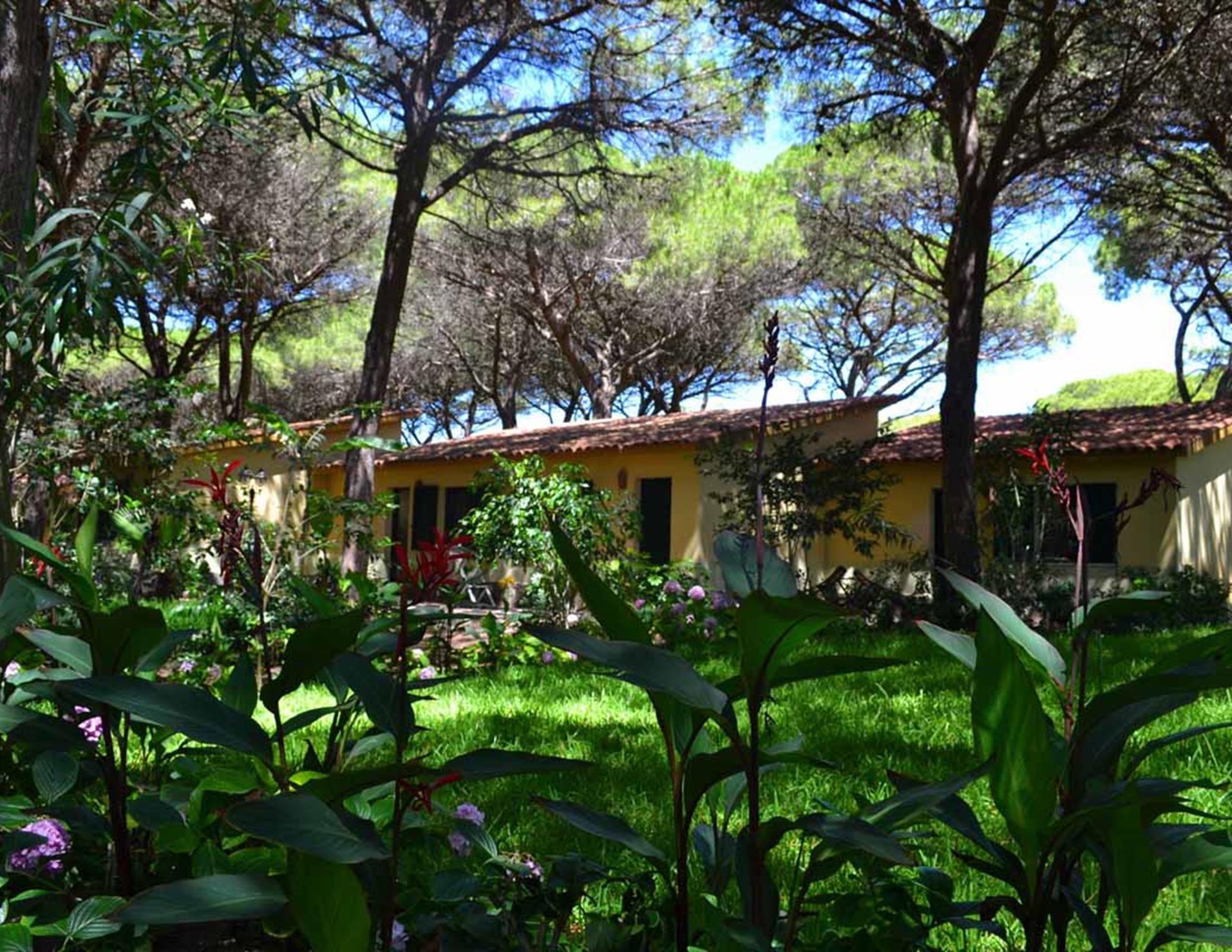 Horse Country Resort Congress & SPA 2