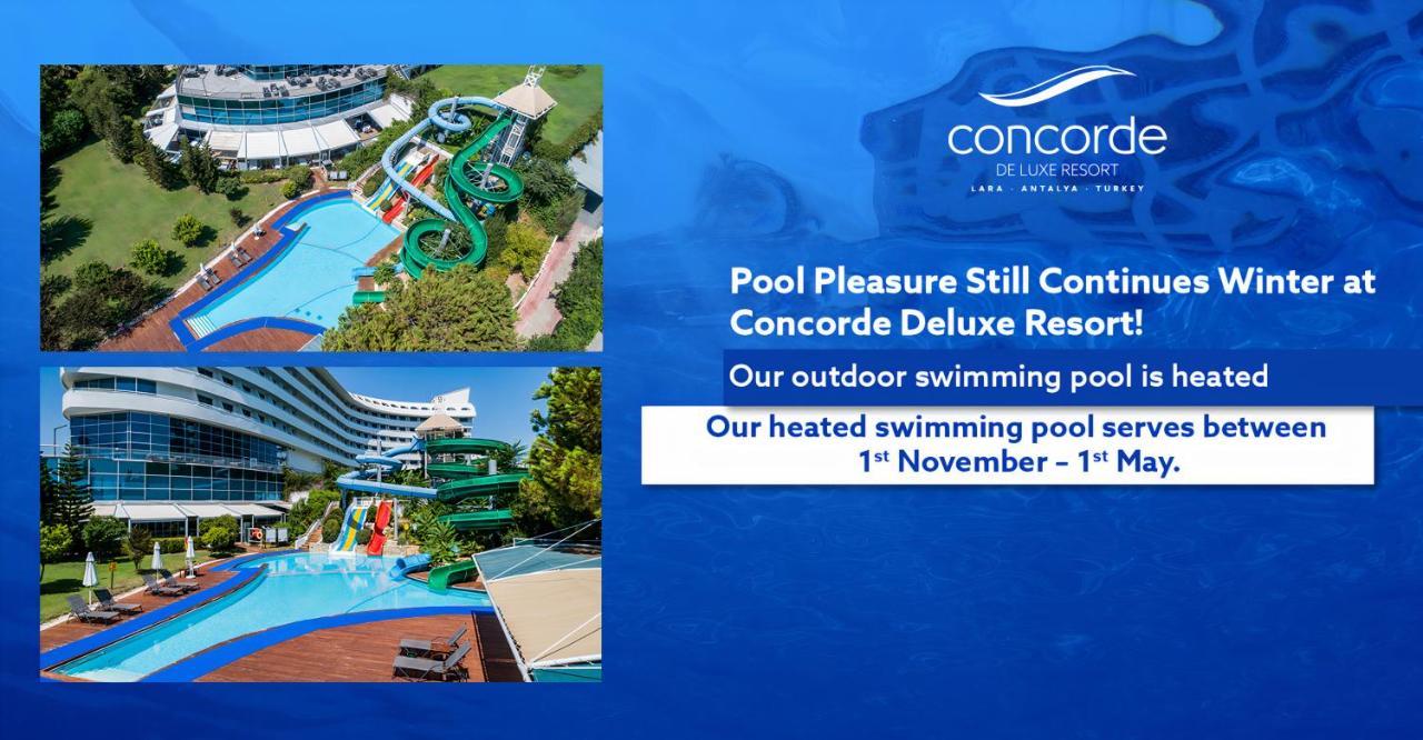 Concorde de Luxe Resort 2