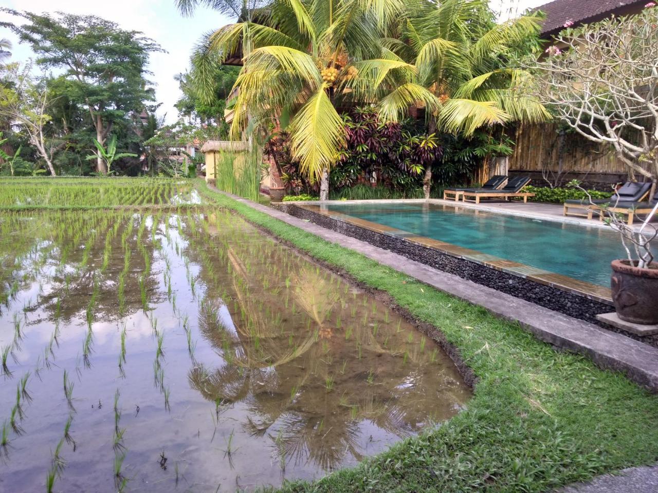 Ubud Lestari Bungalows 1