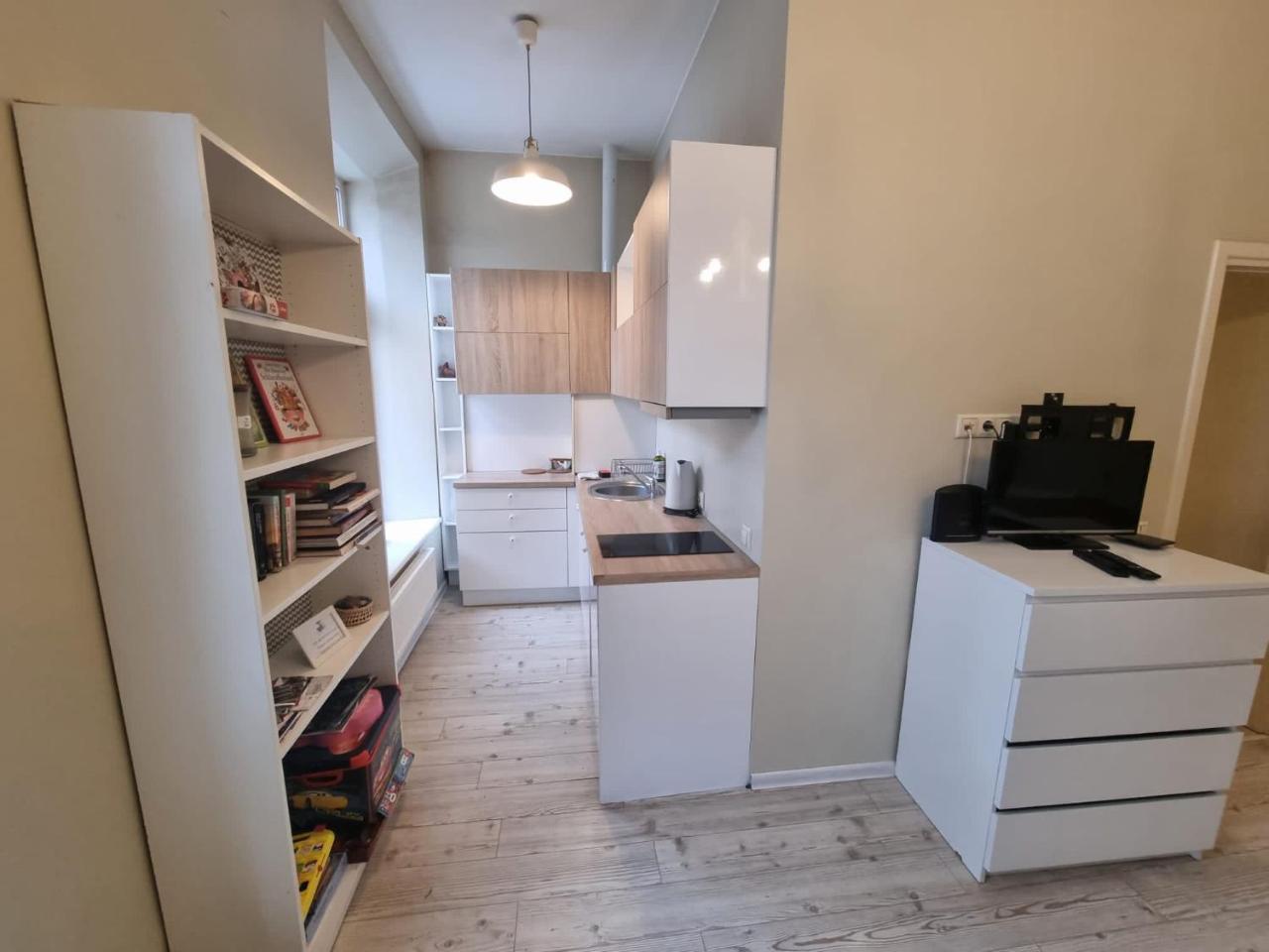 Igo Apartment Uzupis 1