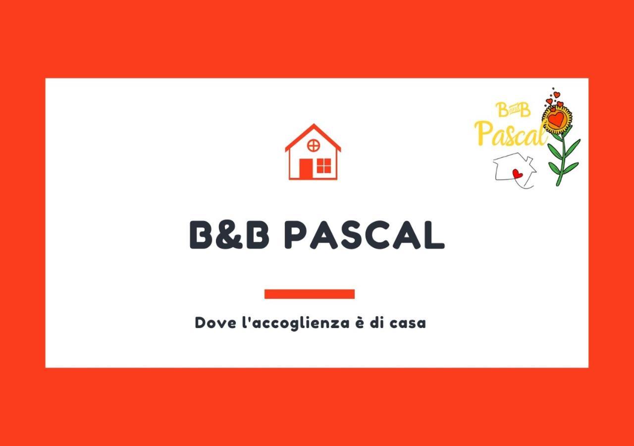 B&B Pascal 1