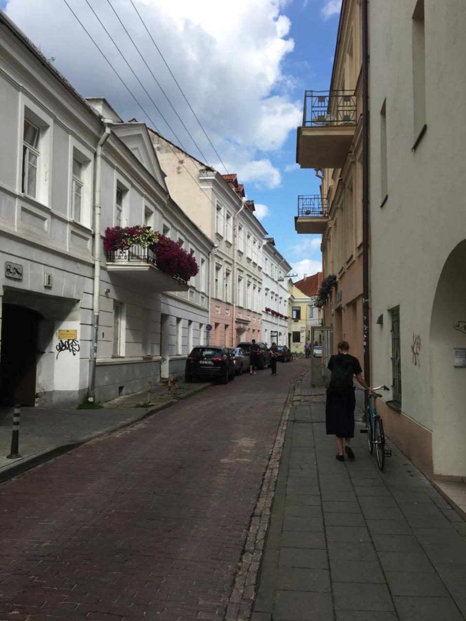 Skapas Street Vilnius 2
