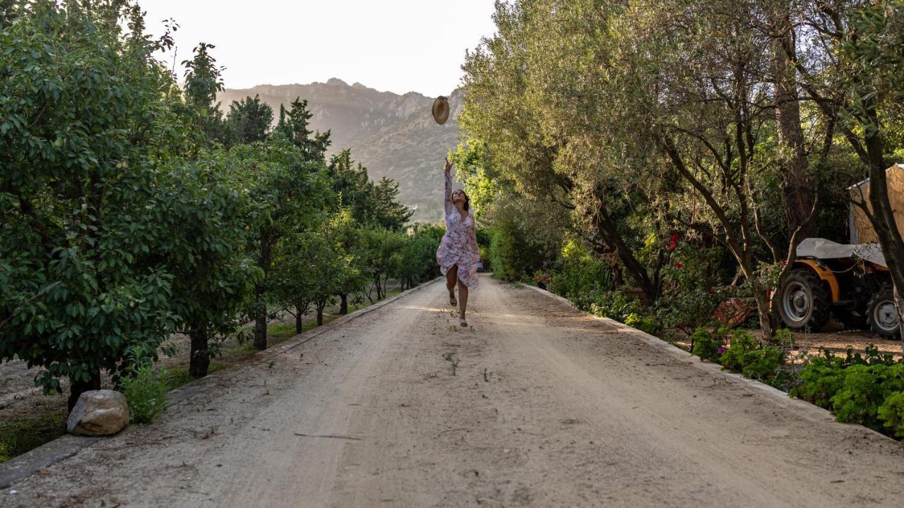 S'arenada Hotel (Adults only) 2