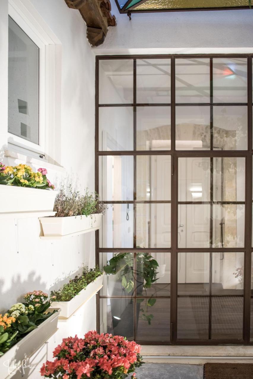 Arcipelago 37 (Adults only) 2