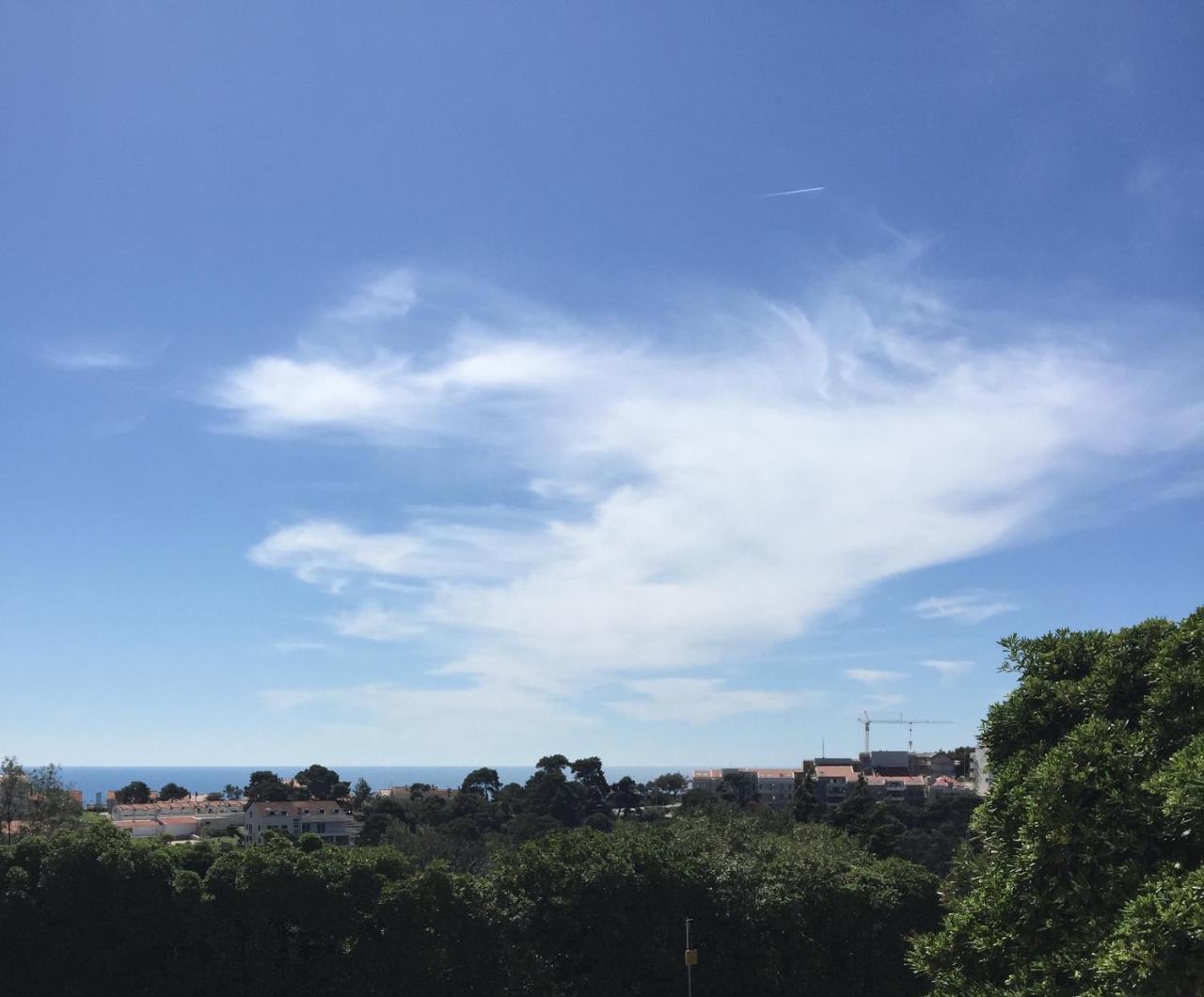 Leut (Adults Only) 2