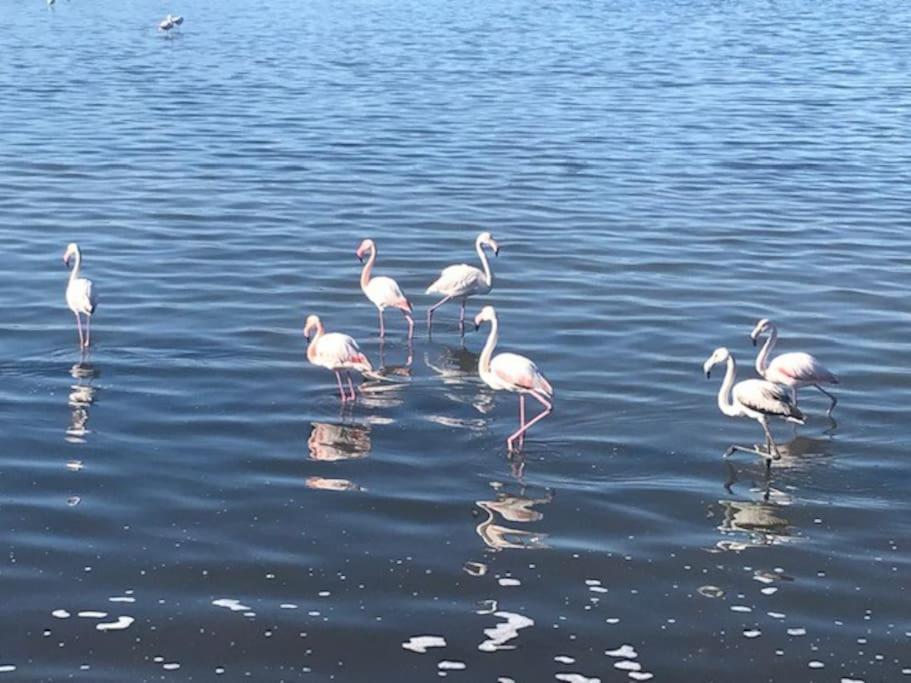 Appartamento Celeste Cagliari 1