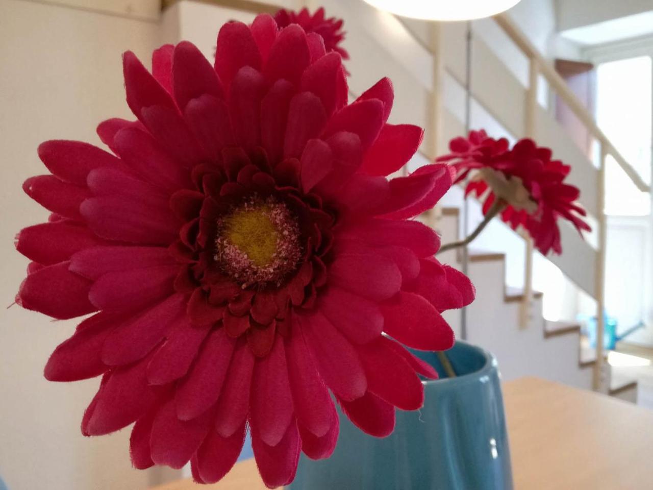 Domus de Silva - Appartamento in Centro Storico a Cagliari 1