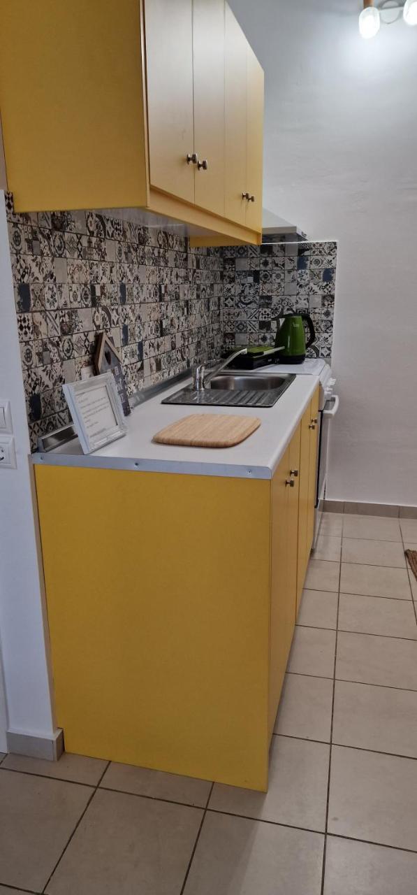 Eco Sunshine Studio 1