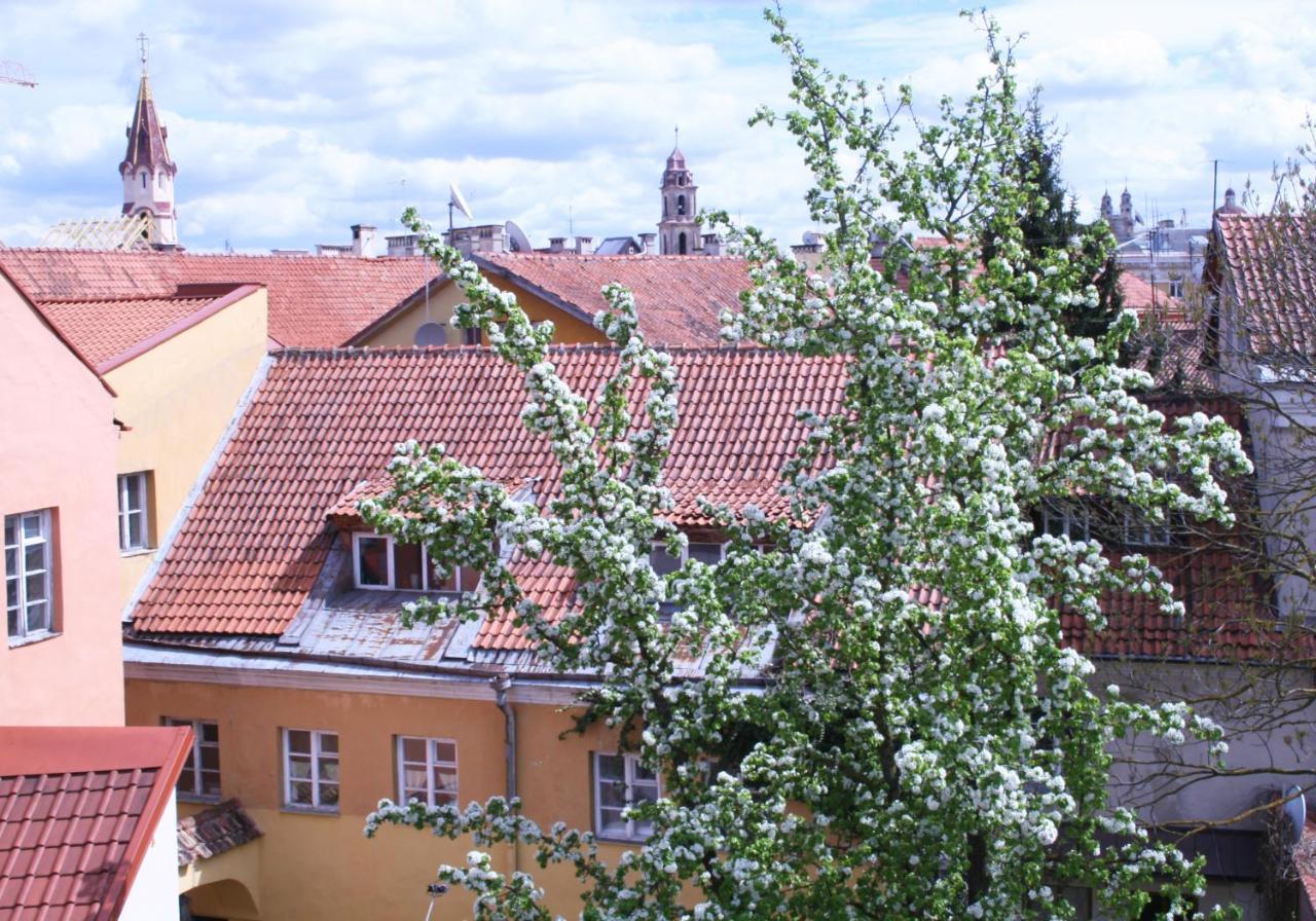 Old Town Apartment Antokolskio 2