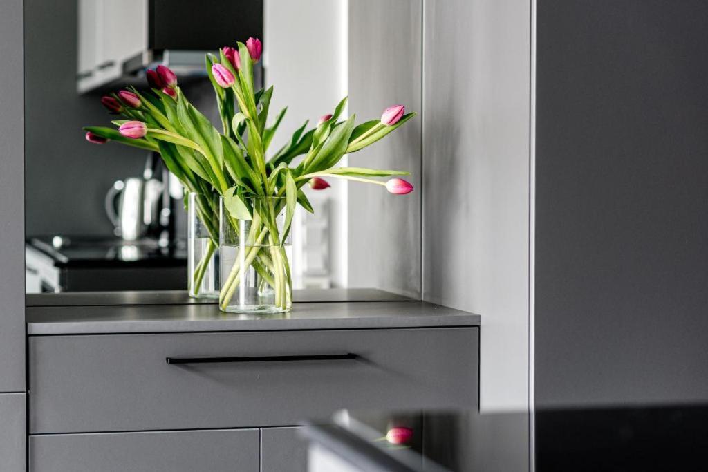 Vilnius Old Town Renessainse Studio 4 1