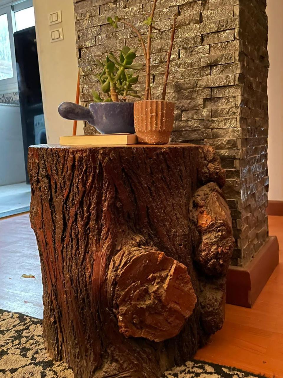 Cosy Apartment with Garden in Zamalic 2