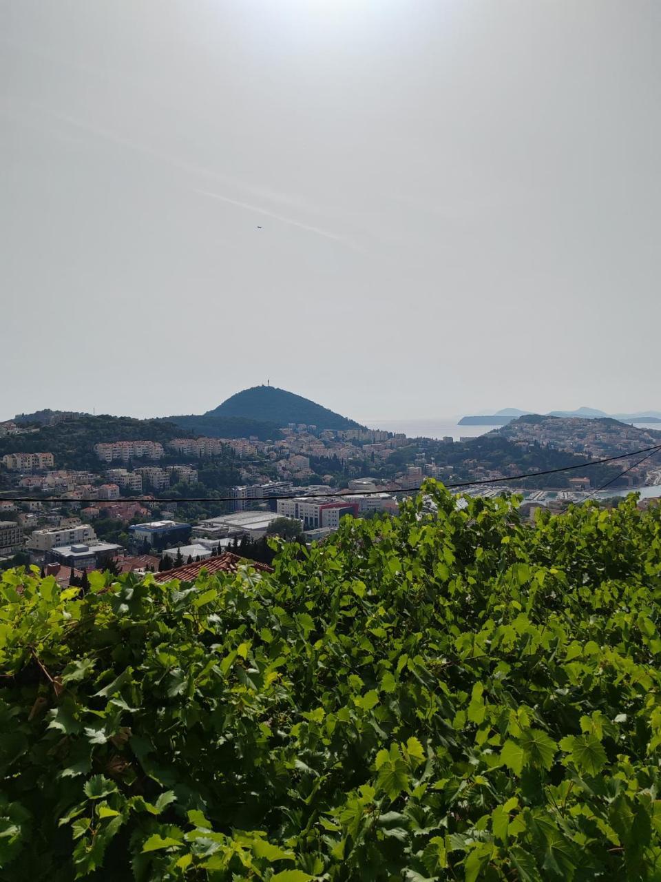 Mediterranean Vista 1