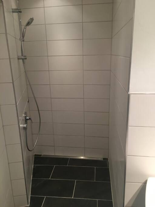 Altbautraum Am Gartnerplatz 120 M2 1