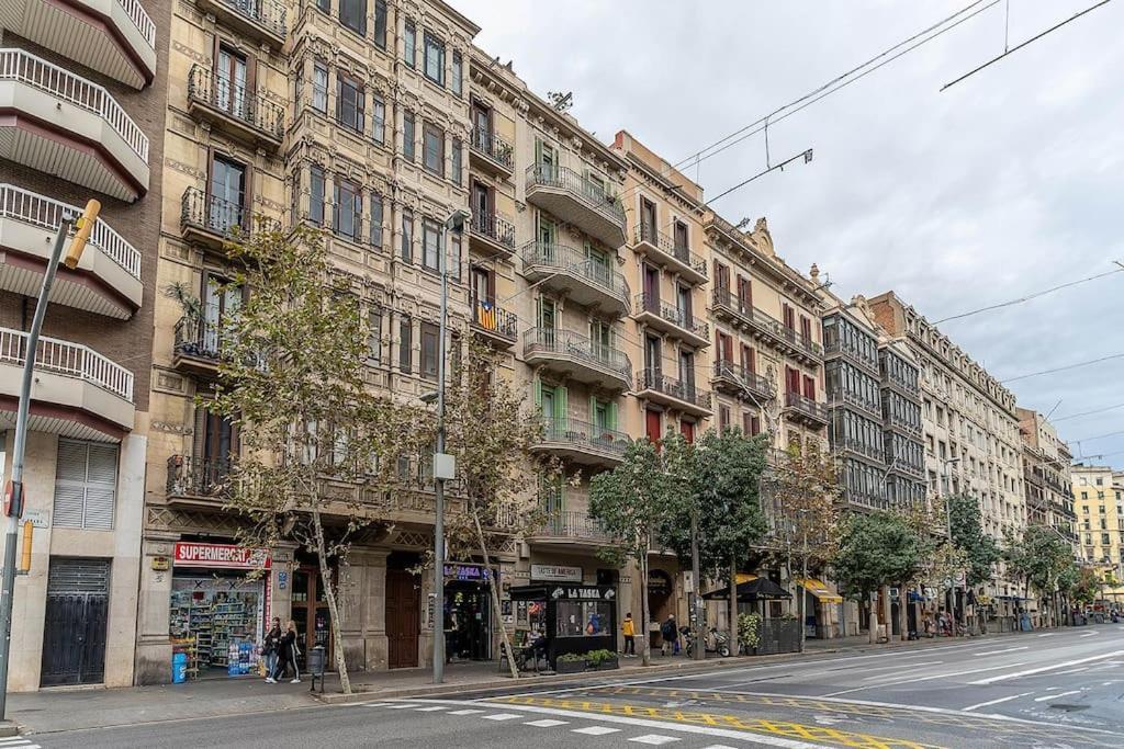 Canela Homes Barcelona Arago 2