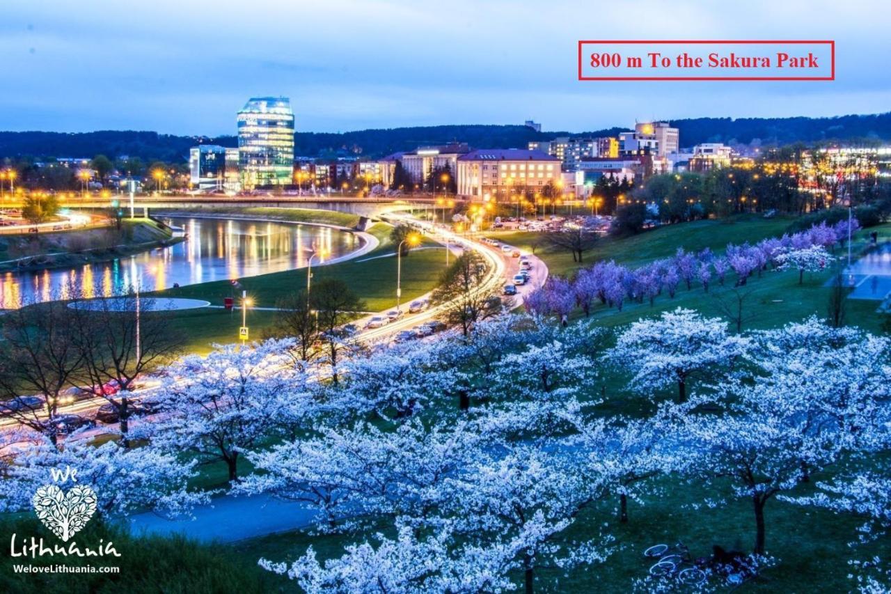 Nordic Studio 142 in Prime Vilnius Location 1