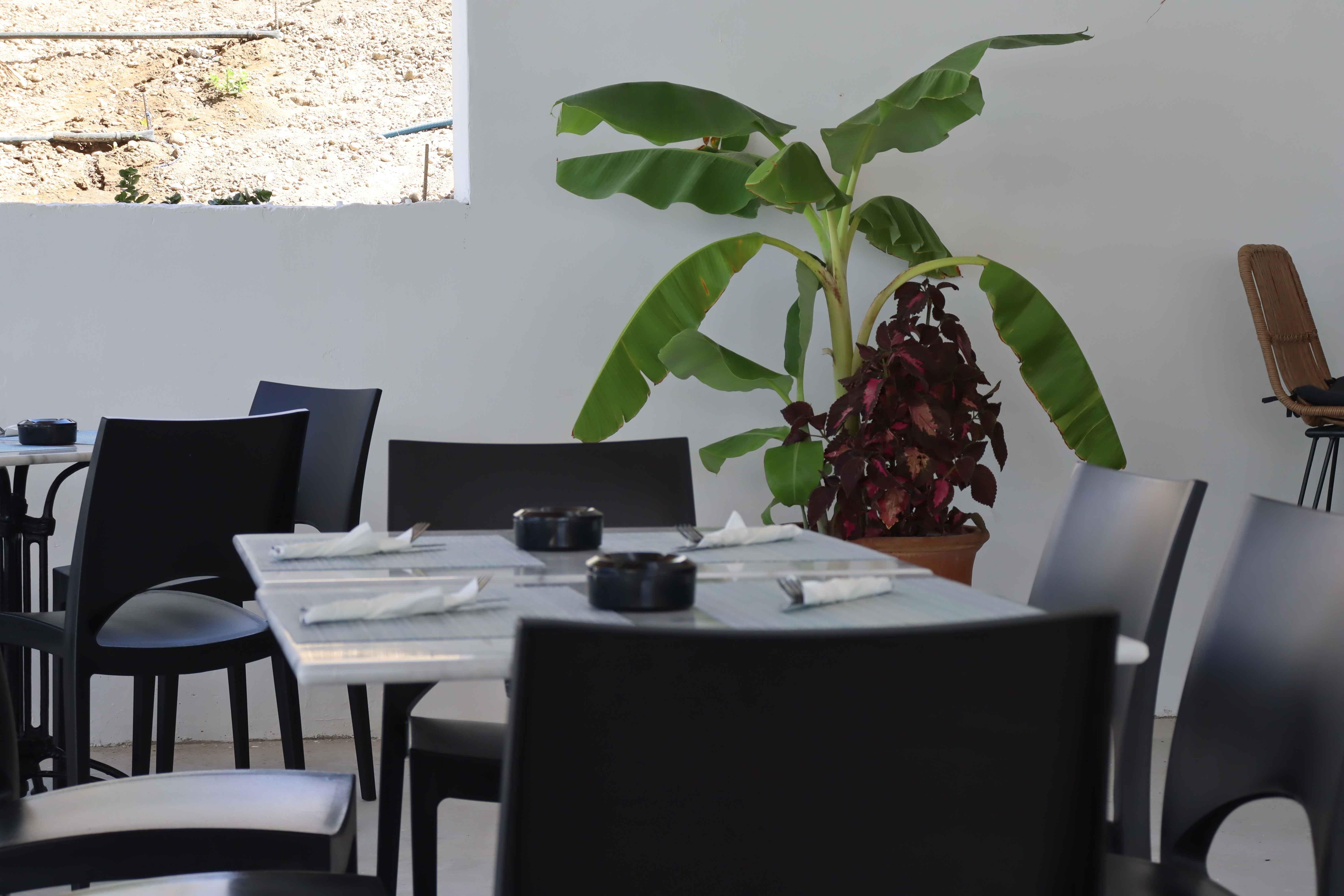 Evita Alegria Evita Hotels And Resorts 1