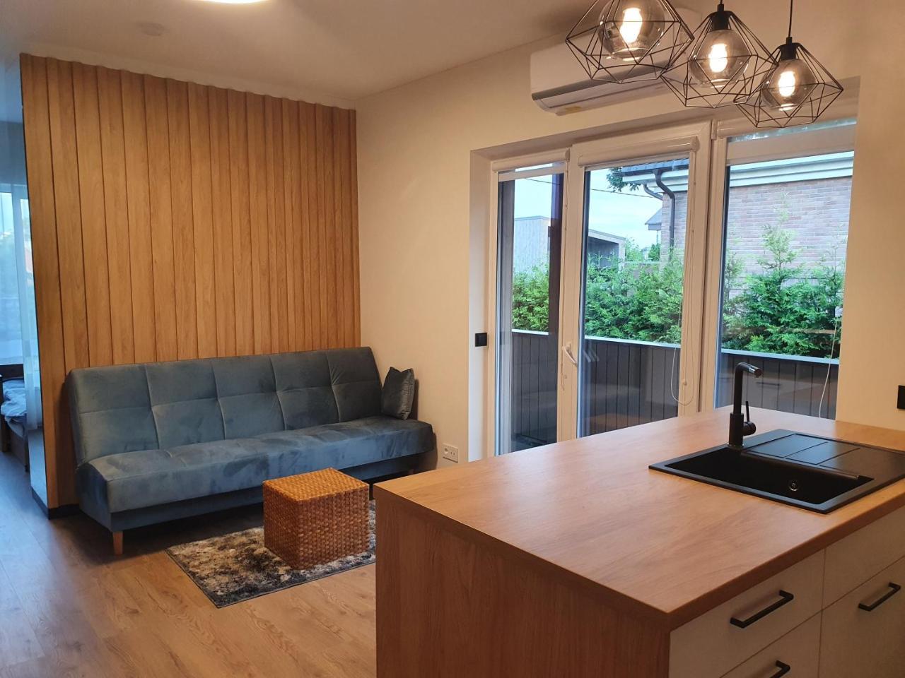 Apartment with Terrace 2