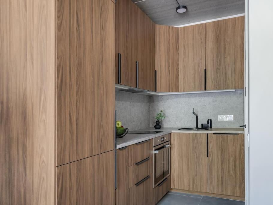 Stylish Loft in Vilnius 2