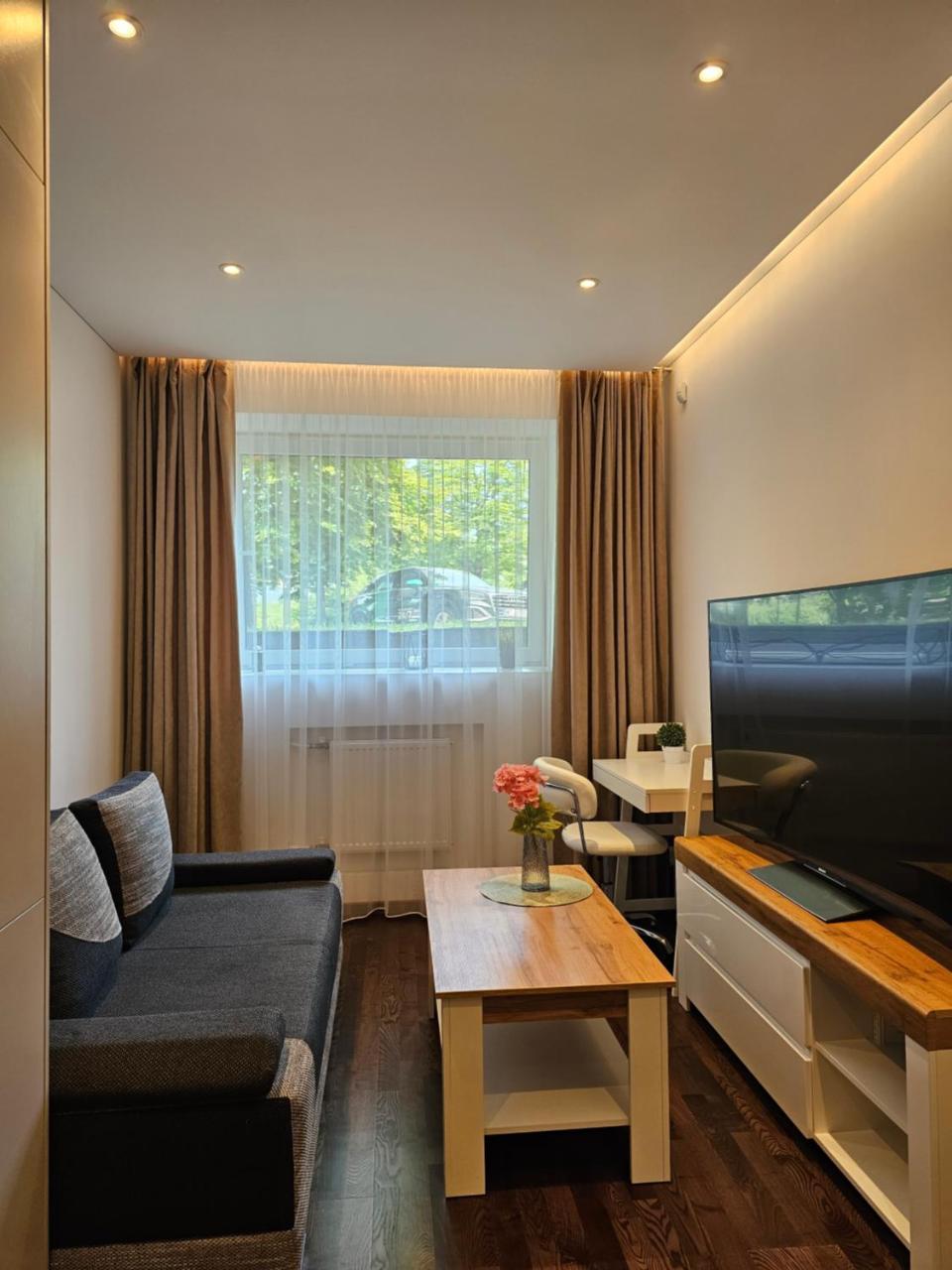VIP Apartament in Center