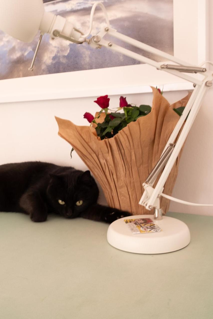 Ab Ovo (Adults Only) 1