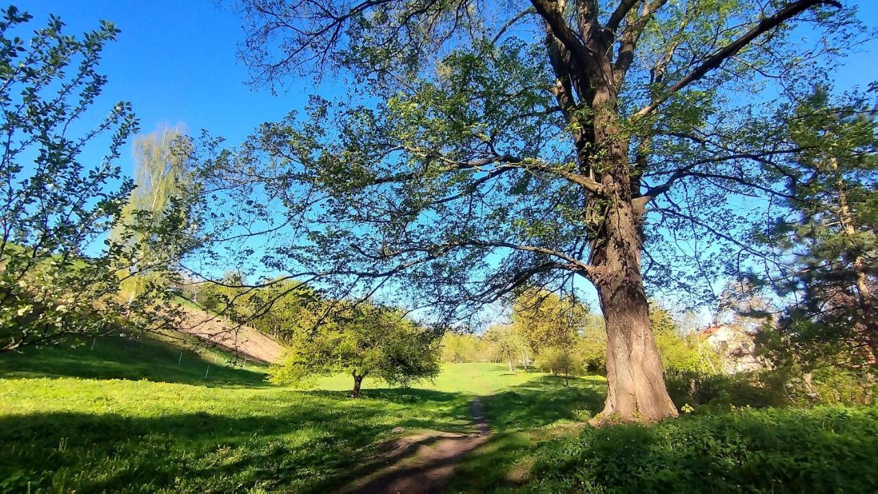 Trendy Old Town Area - Paupys Nature Treat Apartment 1