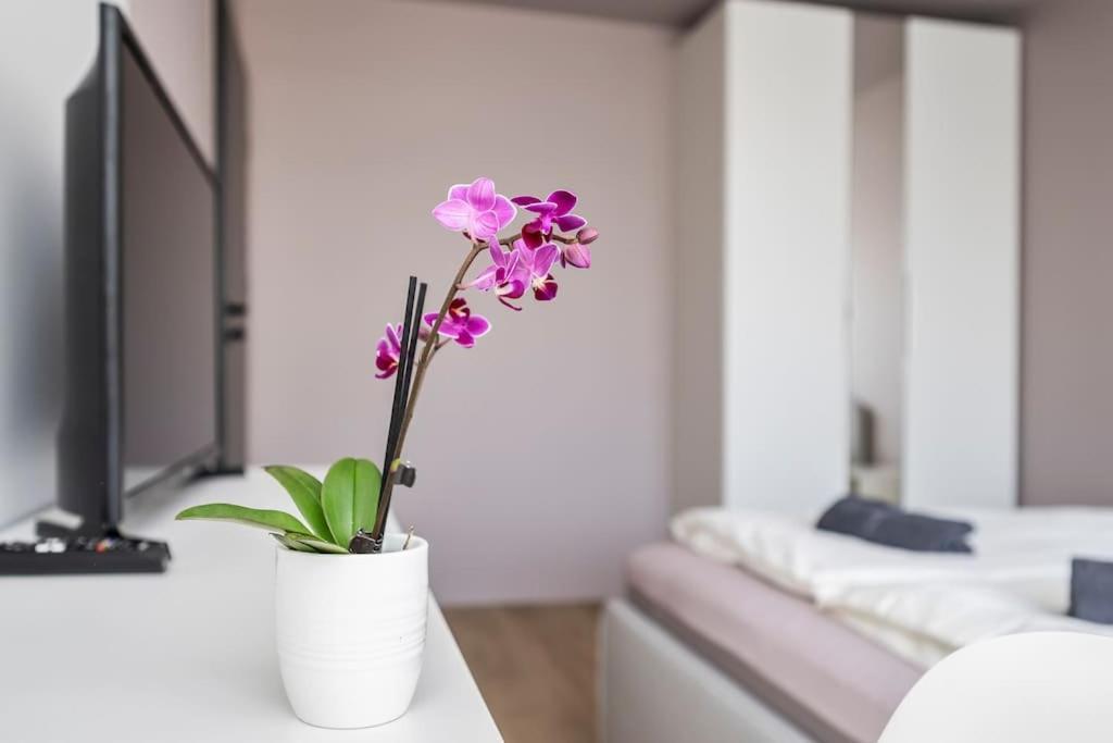 Goldenhugo Apartment 1