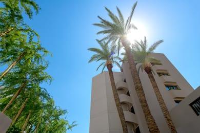 Ammades All Suites Beach Hotel  & SPA ? Adults Only 1