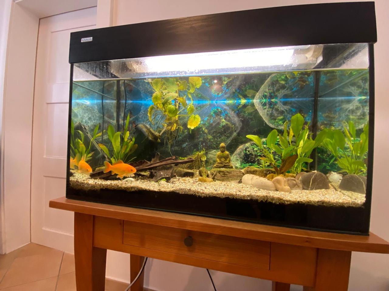 Gemutliche Handwerkerwohnung 2