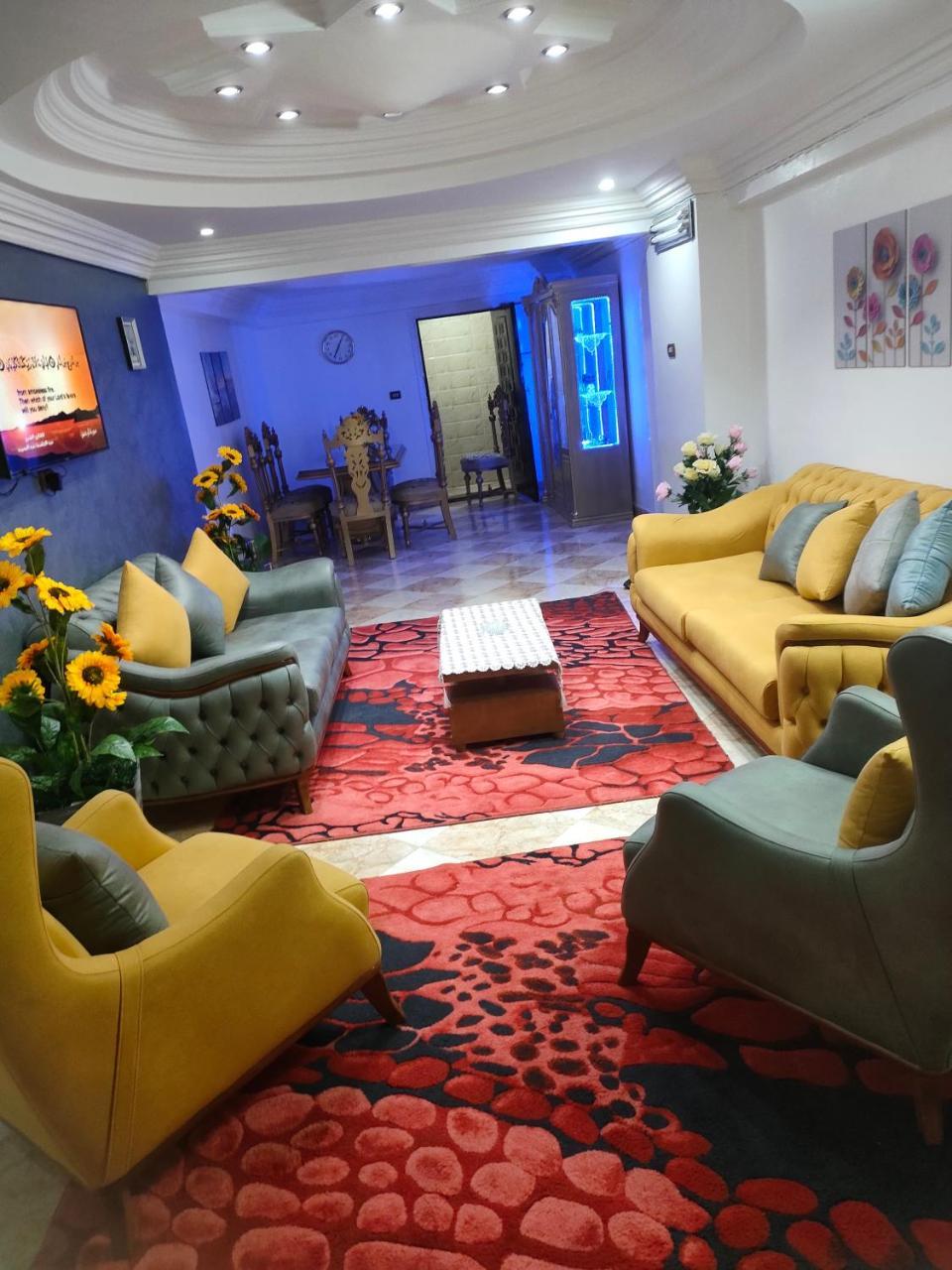 شقق المنيل 2