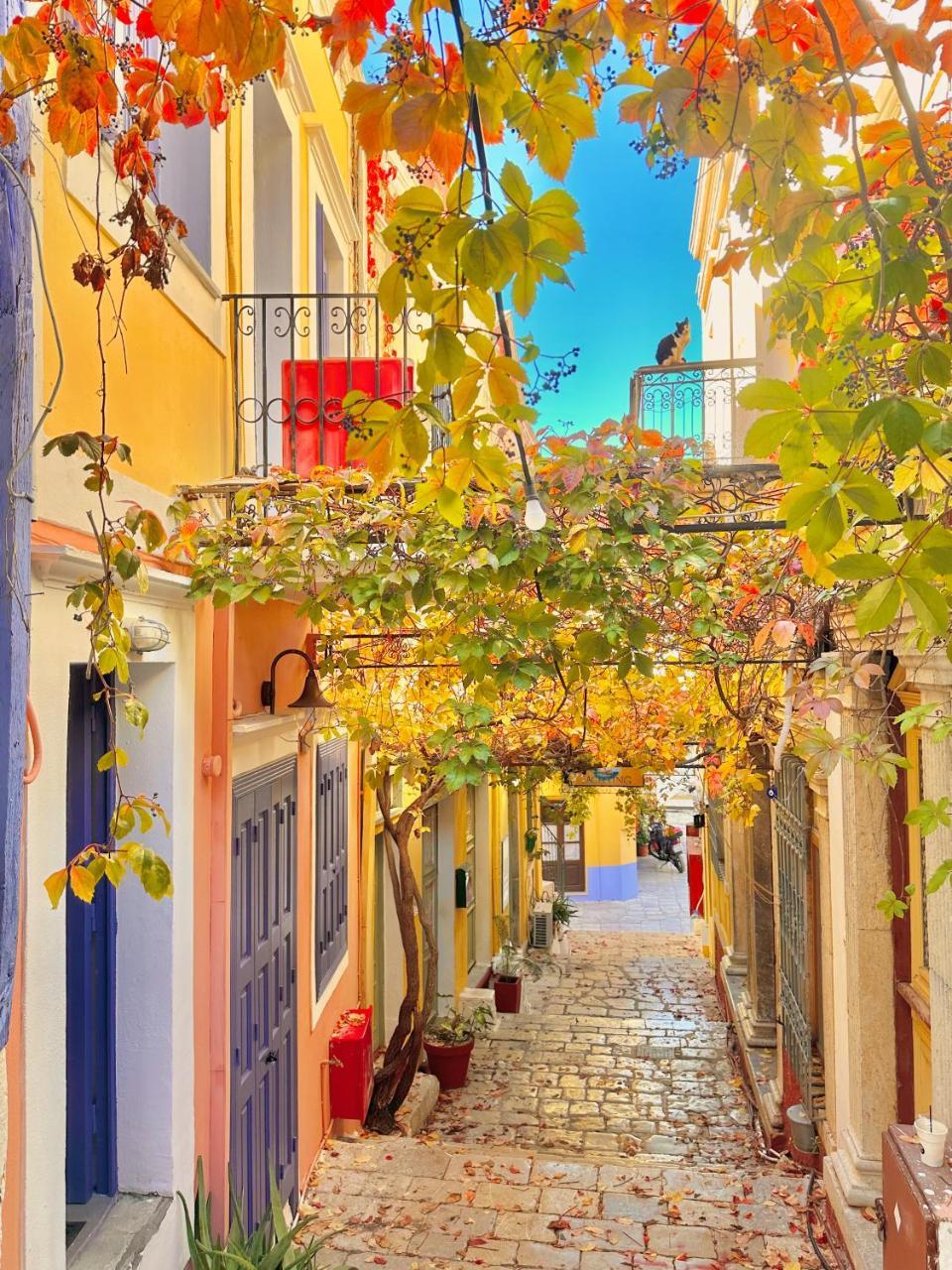 Kali Strata 2 - Downtown 1