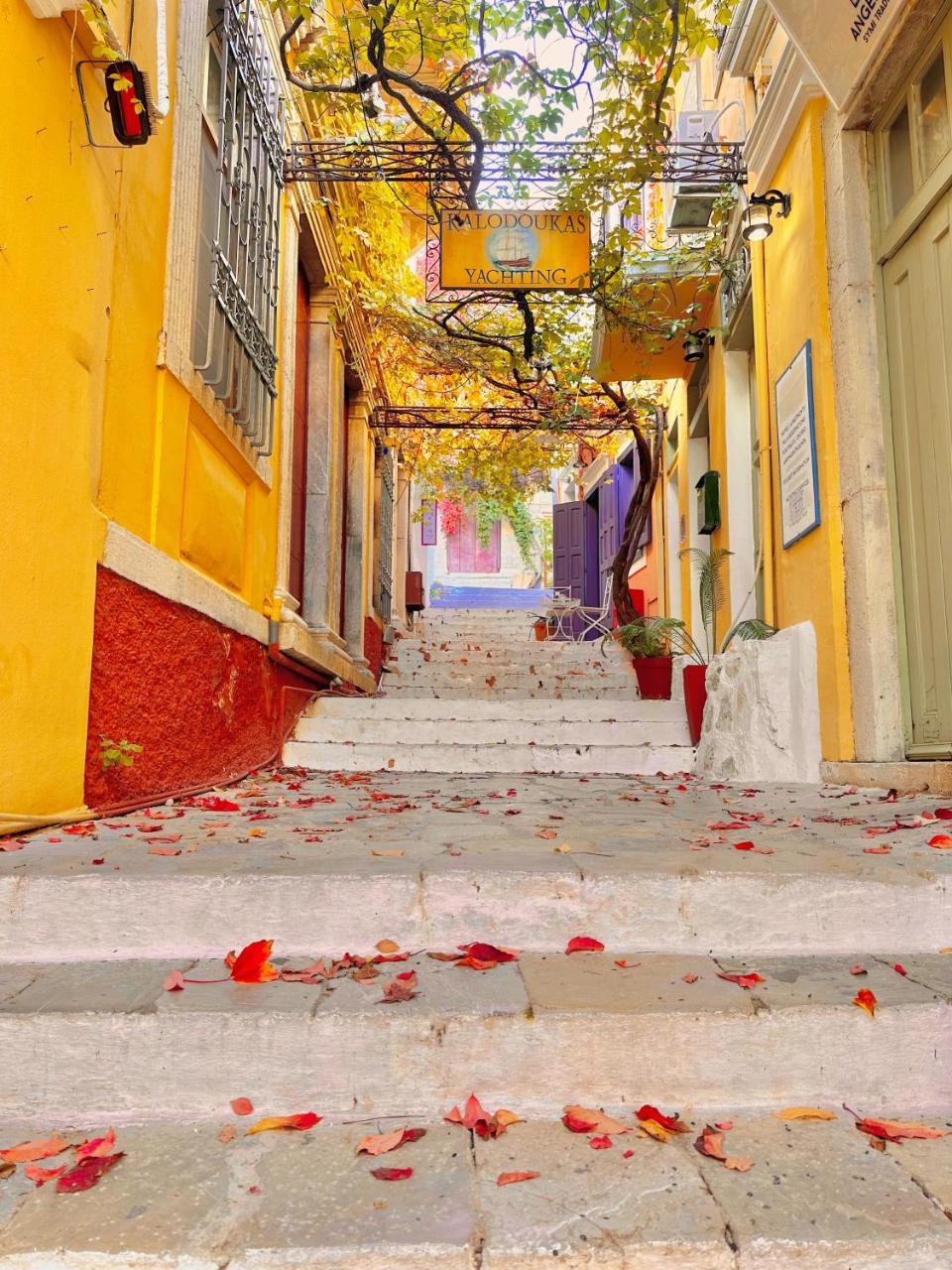 Kali Strata 1 - Downtown 2