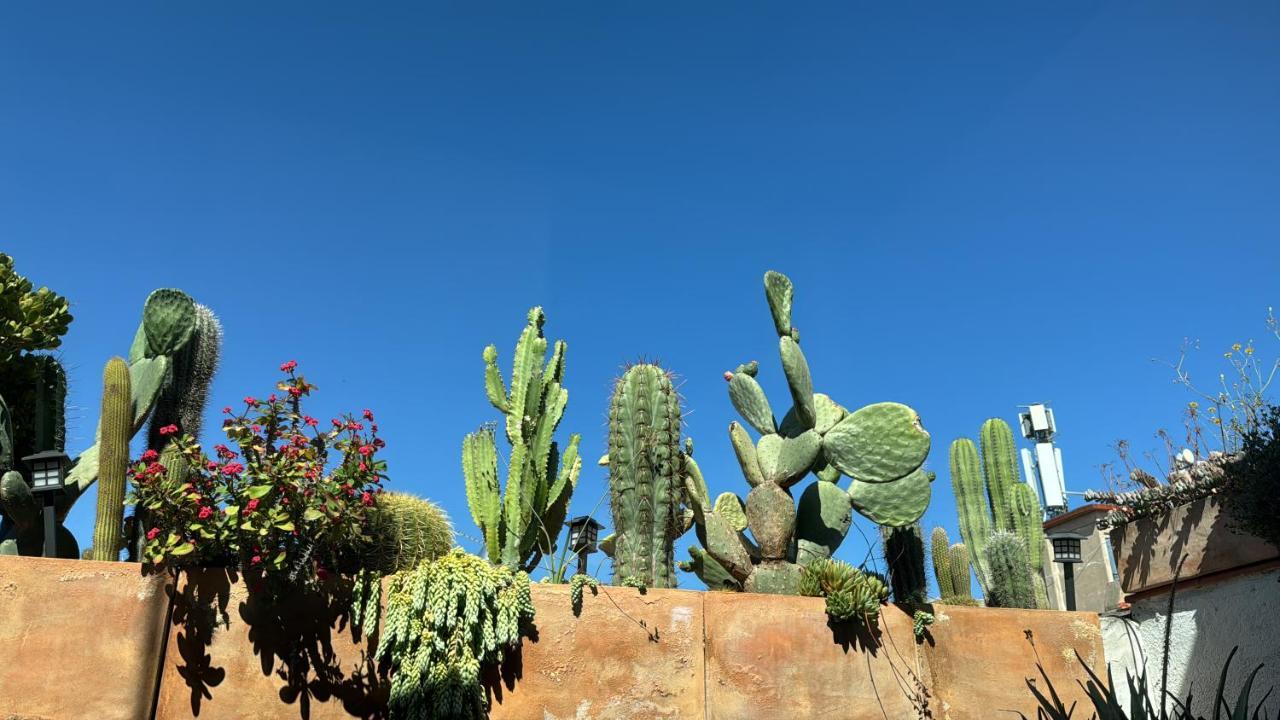 Las Terrazas Del Casco Antiguo (Adults Only) 1