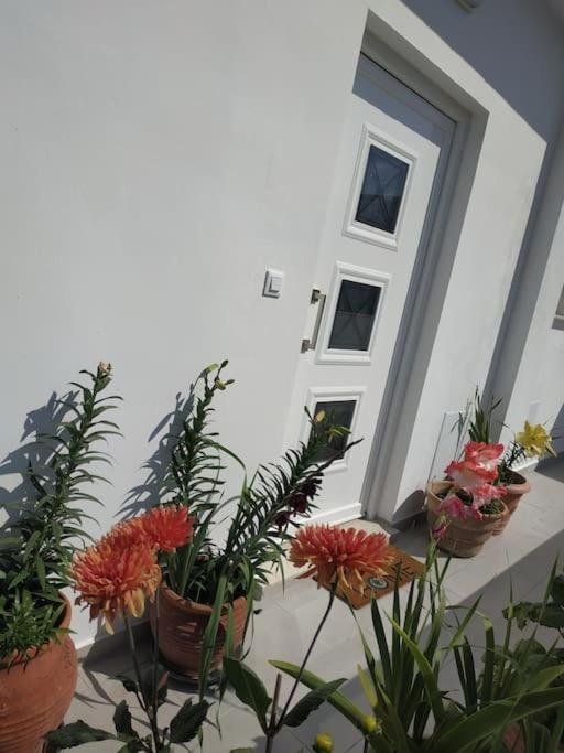 Restaurant Maria Suites Sunrise 1