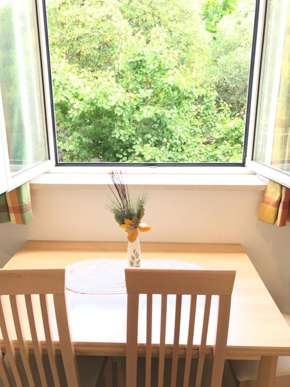 Studio the Sun (Adults Only) 2