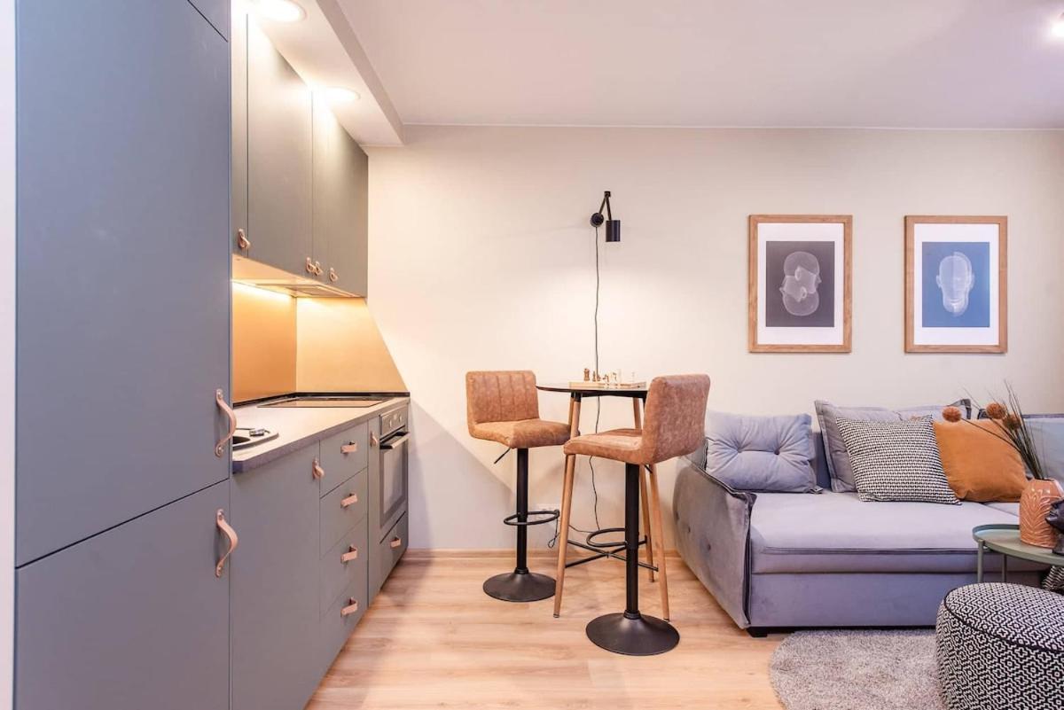 Cozy Flat in Antakalnis