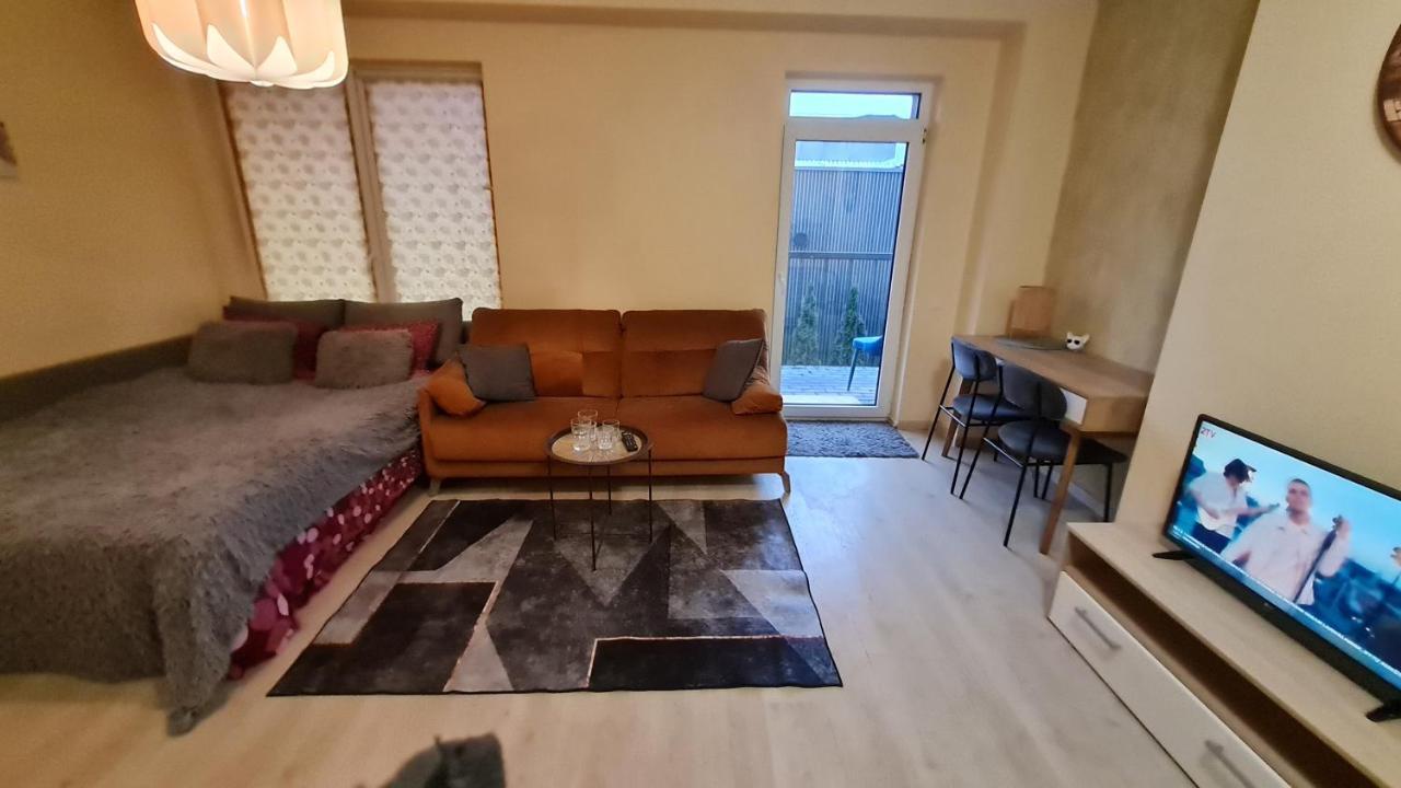 Svitrigailos Gatveje 1kambario Butas Naujos Statybos Name