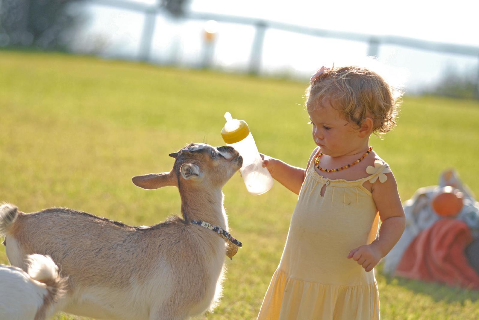 Arbatax Park Resort - Telis