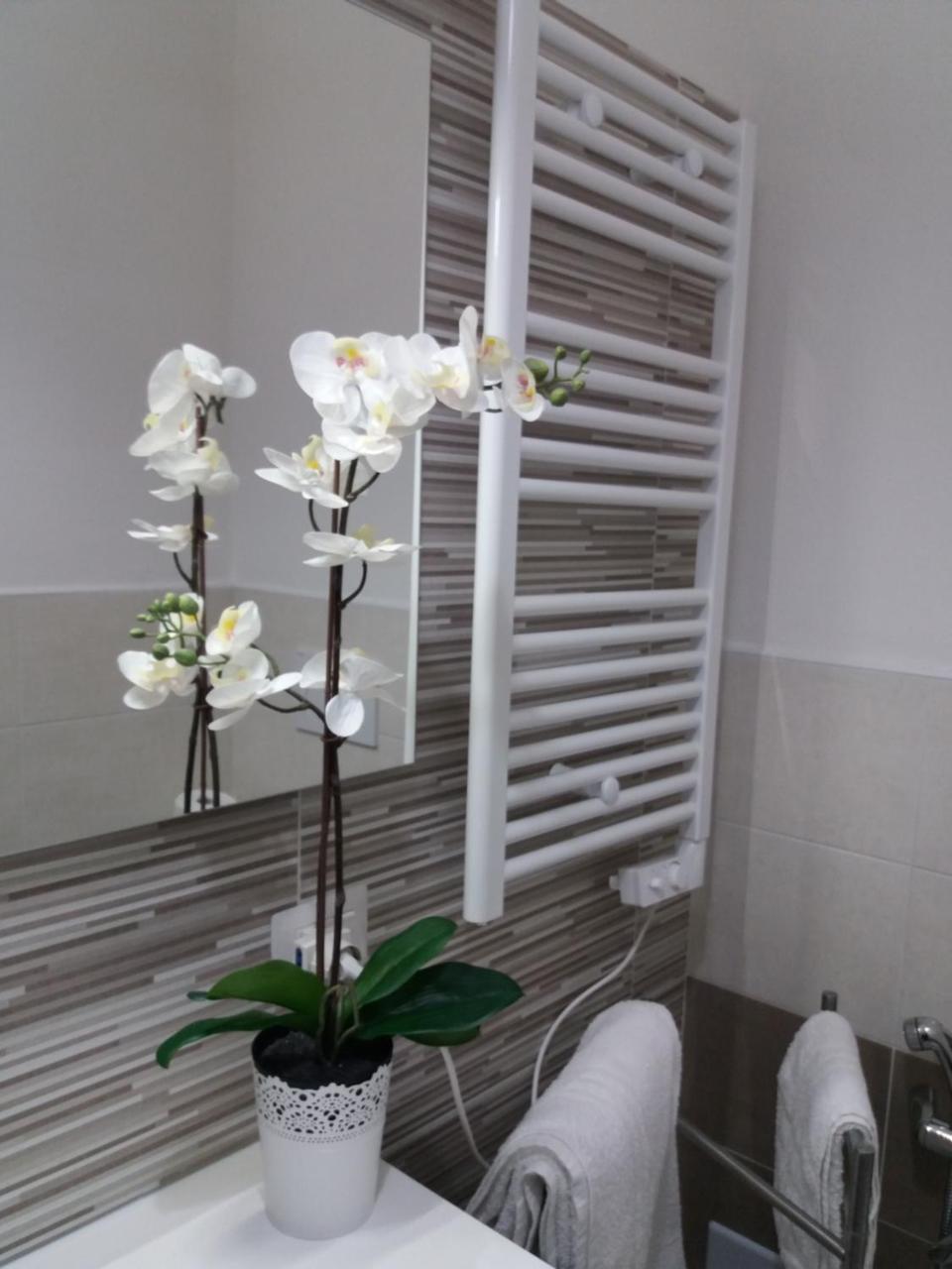 Depandance Machiavelli 2