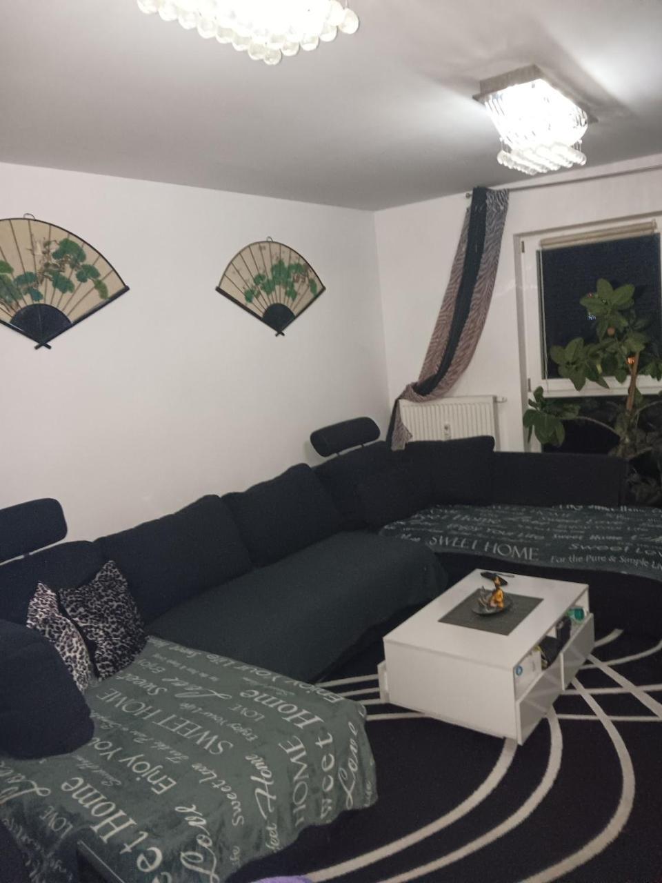 3 Room Apartment Freimann
