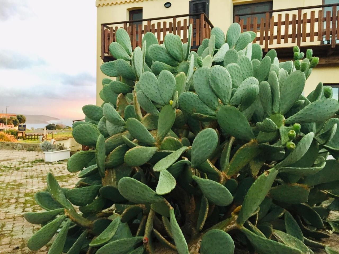 Torre Hotel - Adults Only 1