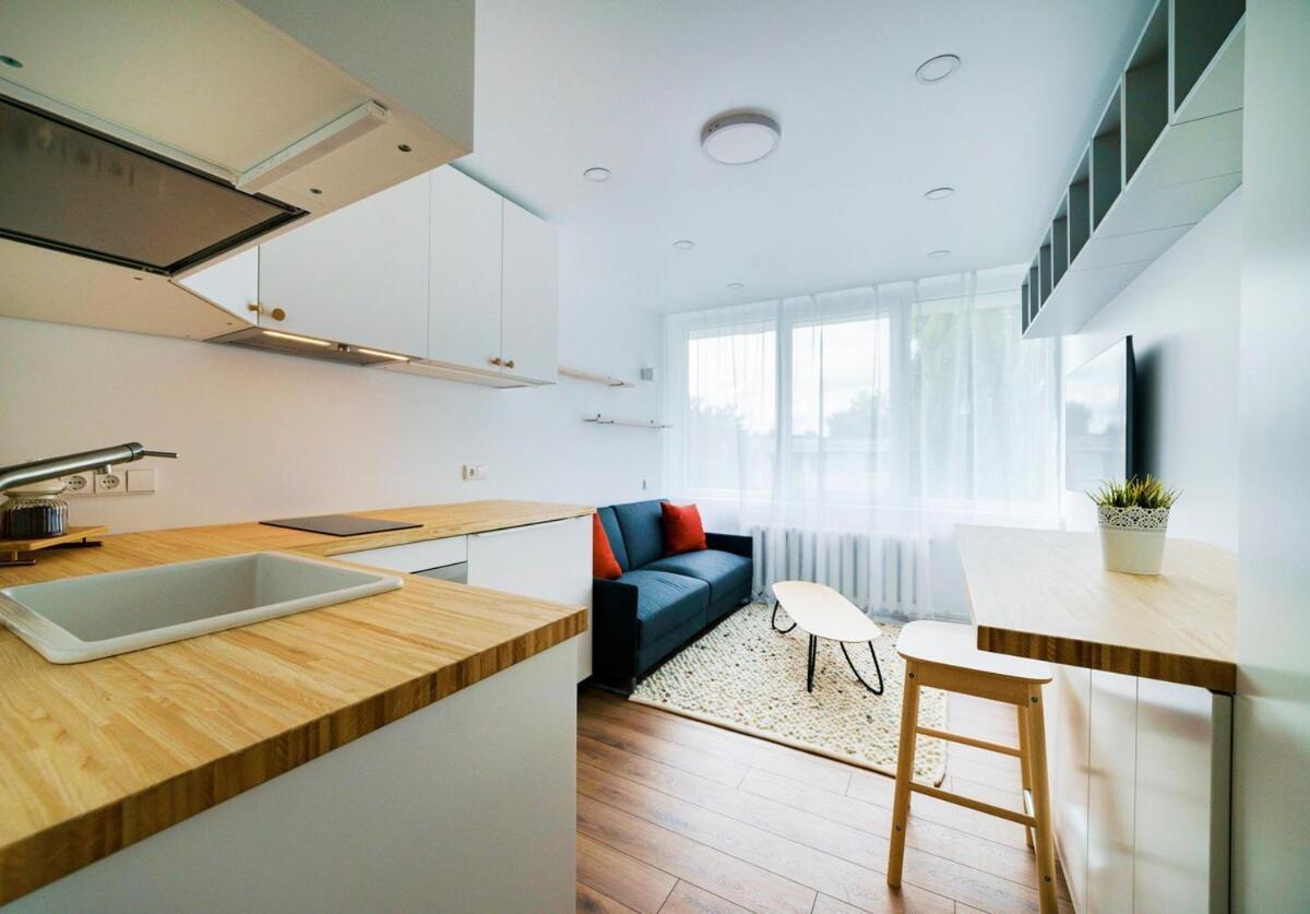 Stylish Studio in Vilnius III 2